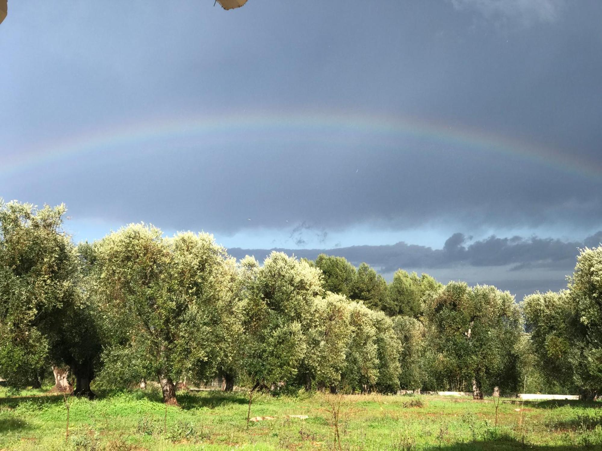 Tenuta La Pomona Ostuni Eksteriør bilde