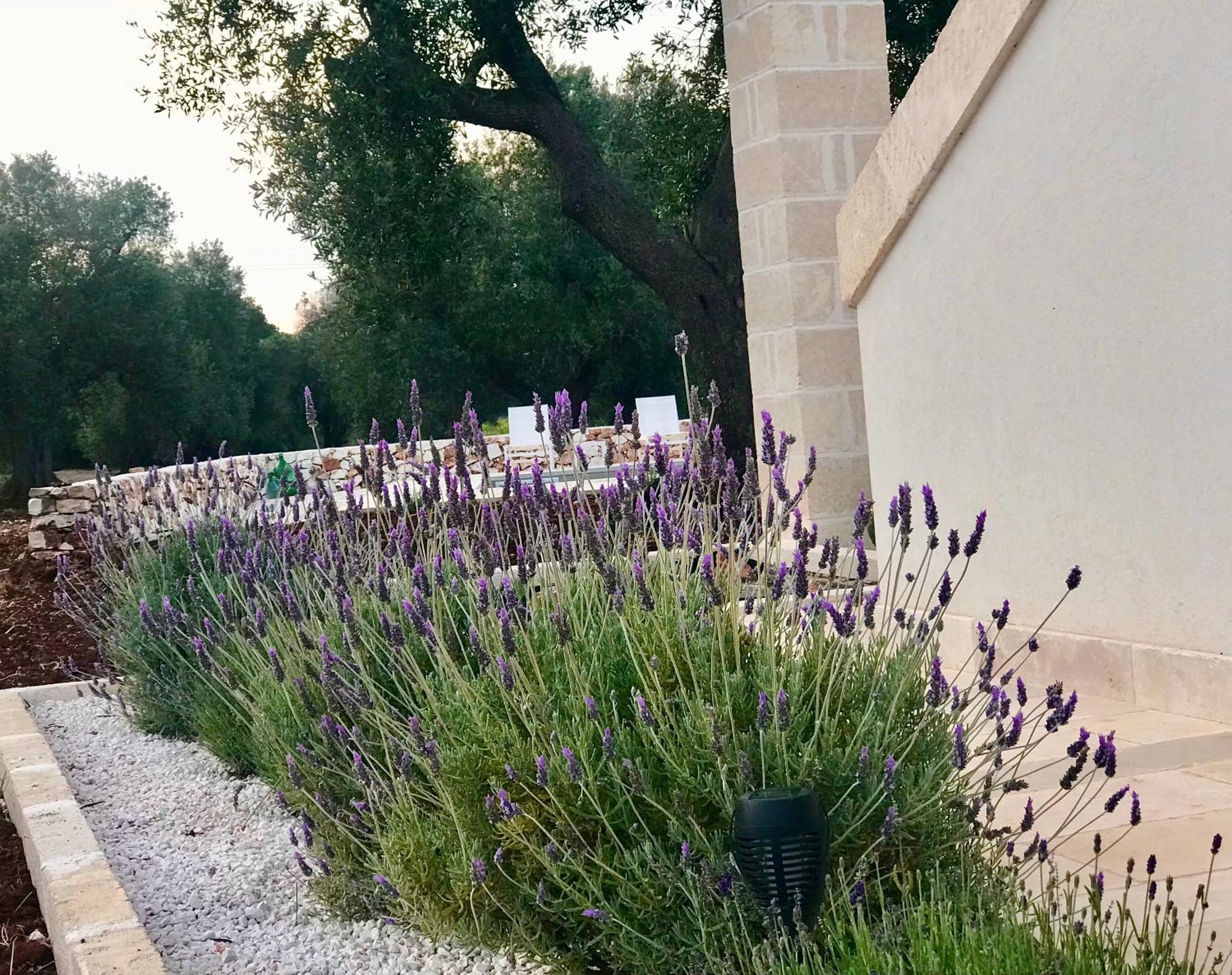 Tenuta La Pomona Ostuni Eksteriør bilde